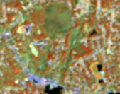 landsat image 5