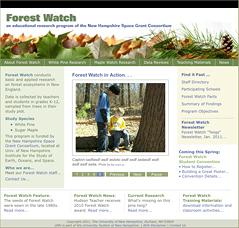 forest watch website