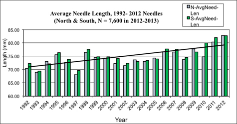 needles length