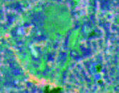 landsat image 3