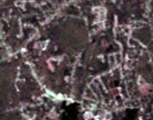 landsat image 6