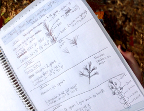 Visiting Forest Watch study plot